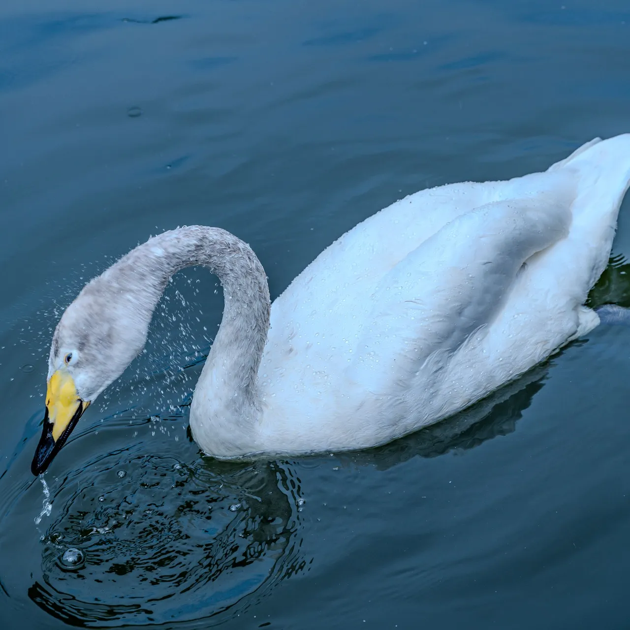 DSC05148.jpg