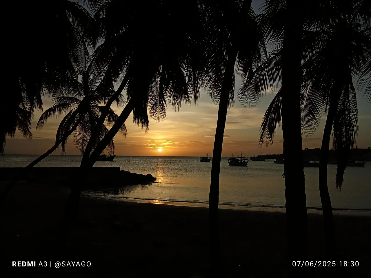 IMG_20250607_183001_1~3.jpg