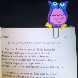 Imagen20.jpg
