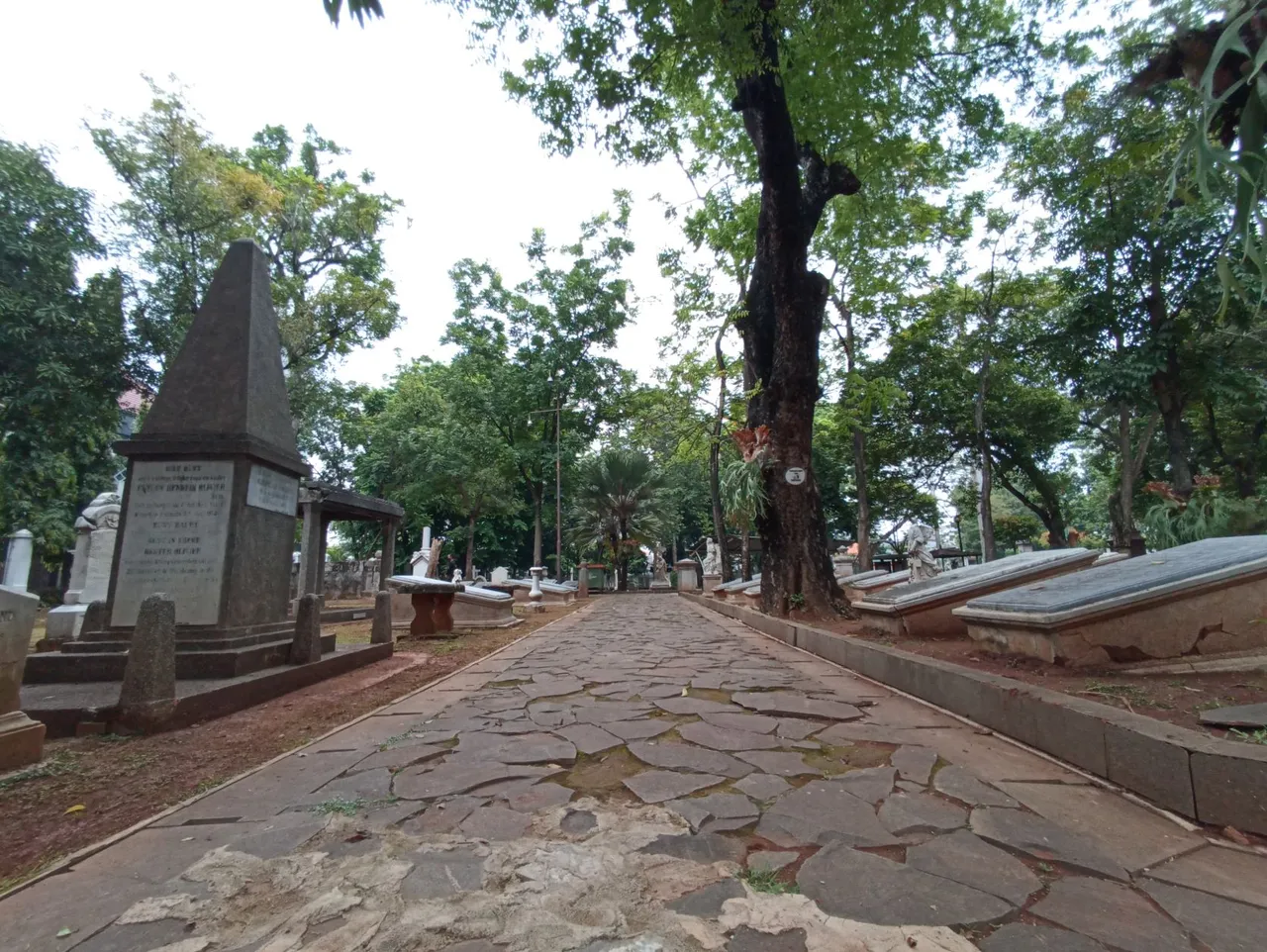 The Footpath 2022.jpg