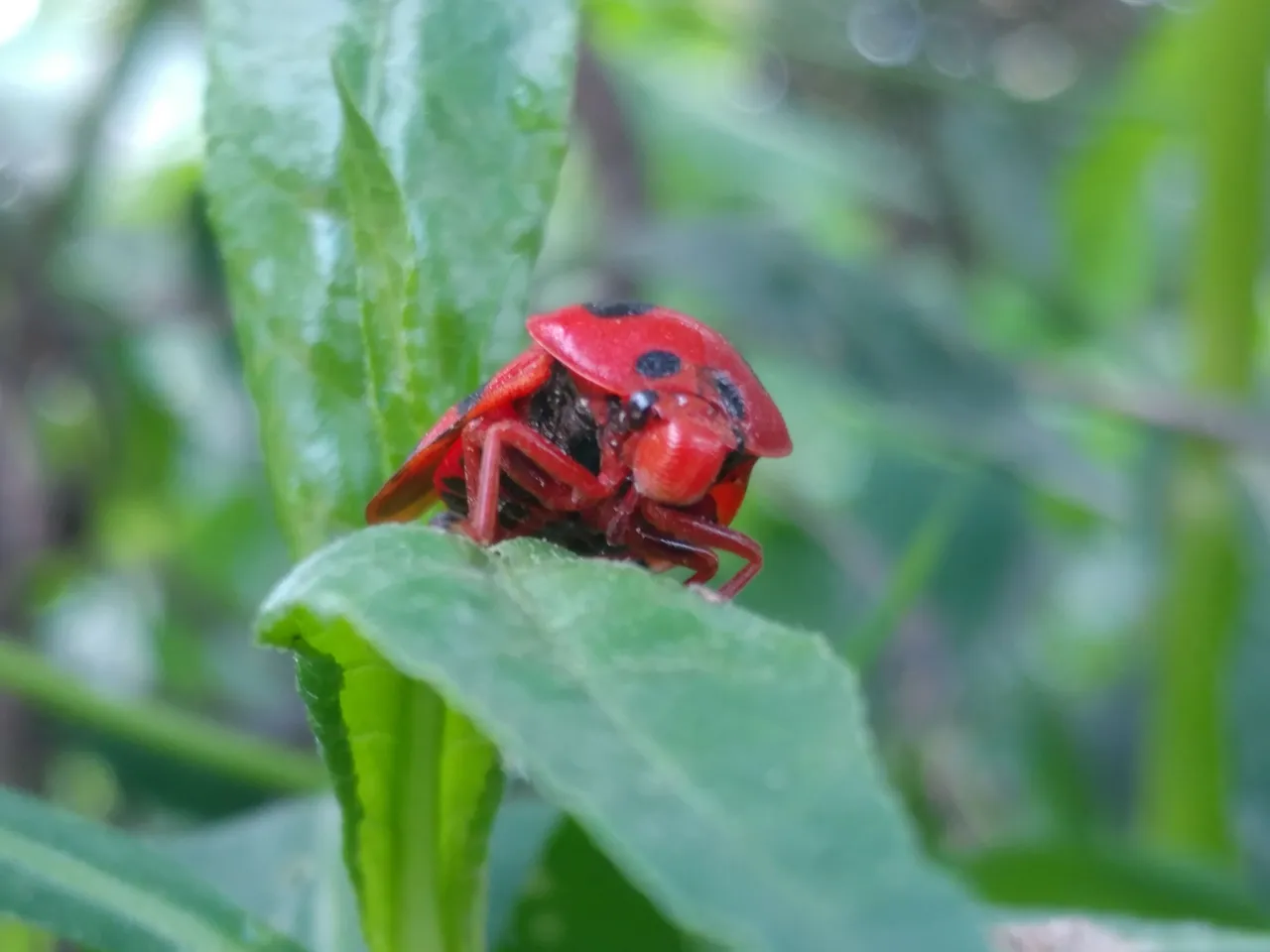 20180609_140246.jpg