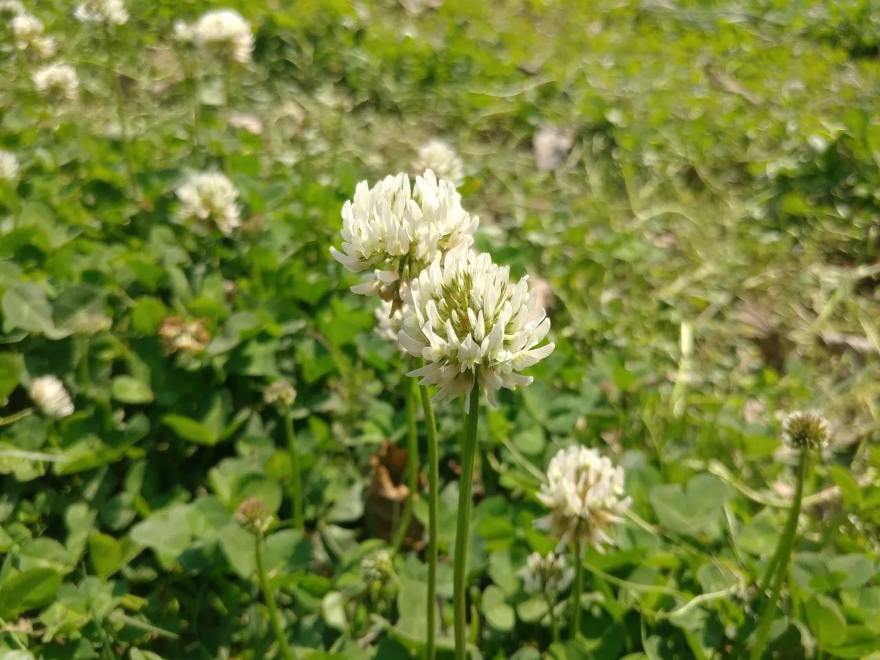 20180318_125906.jpg