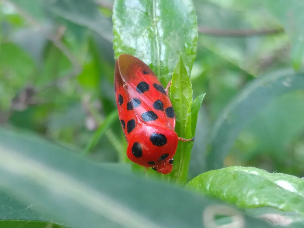 20180609_140203.jpg