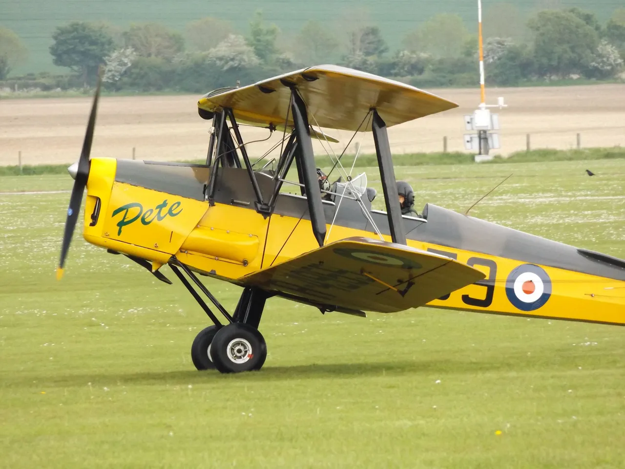 Tiger Moth