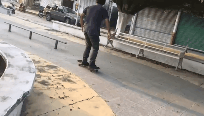 ELVLOGXPASTA GIF.gif