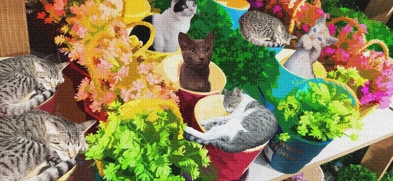 collage libre_gatos.jpg