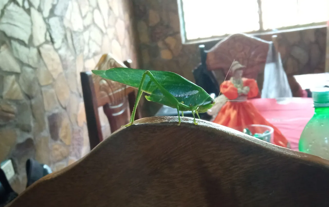 IMG_20221221_201227.jpg