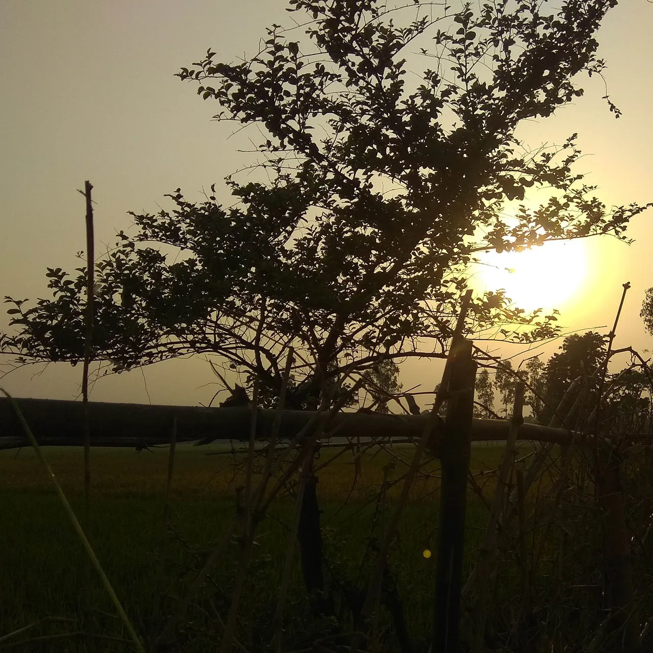 IMG_20210807_194106.jpg