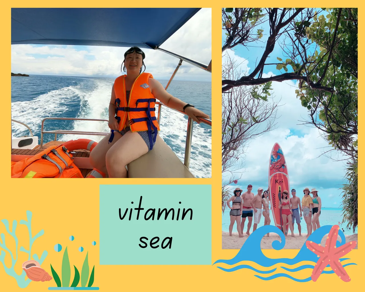 vitamin sea.png