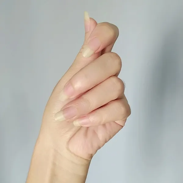 1721340699445.jpg