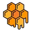 panal.png