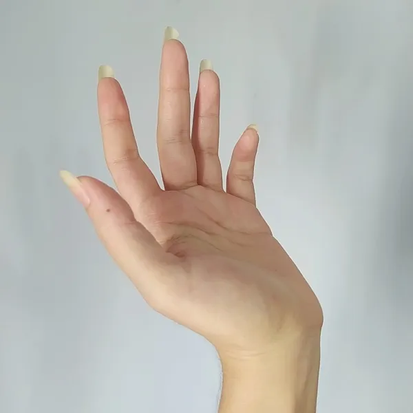 1721340699494.jpg