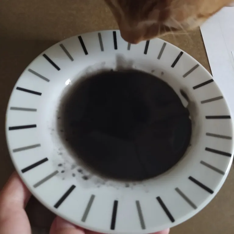 1724536936363.jpg