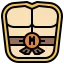 michaelangelo (2).png