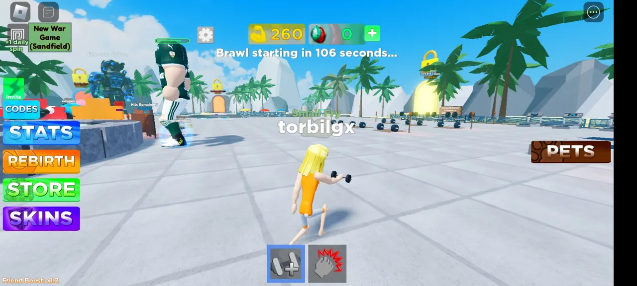 Screenshot_20230117-133723_Roblox.jpg
