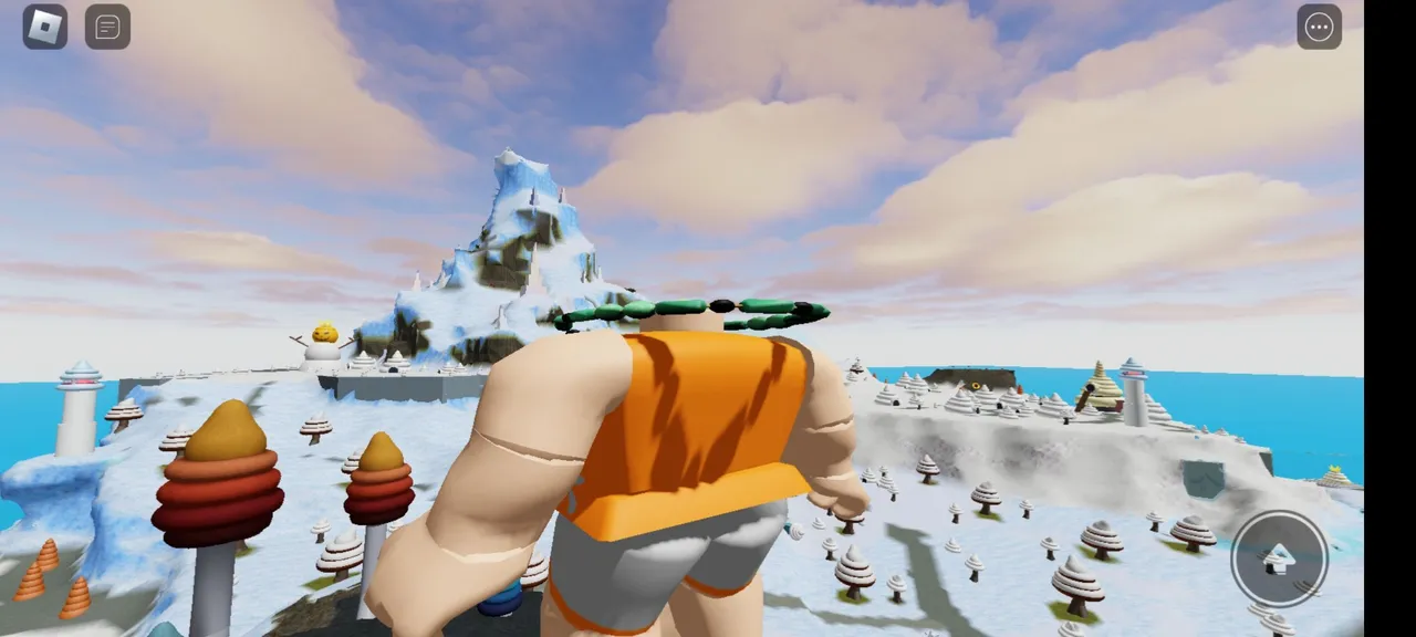 Screenshot_20230117-132716_Roblox.jpg