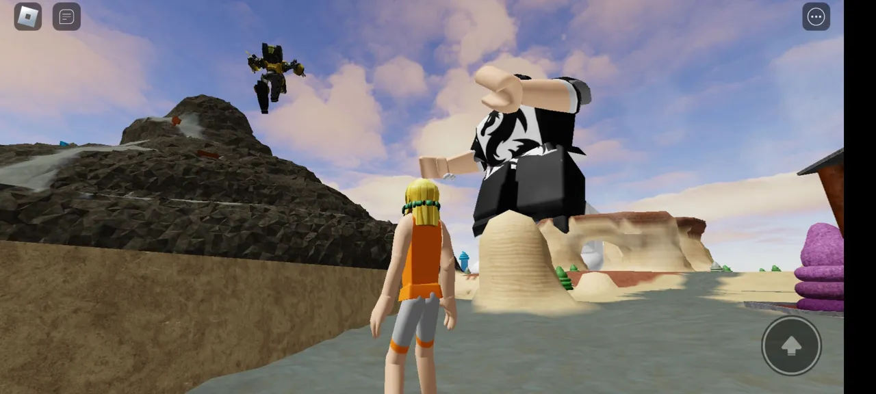 Screenshot_20230117-131347_Roblox.jpg