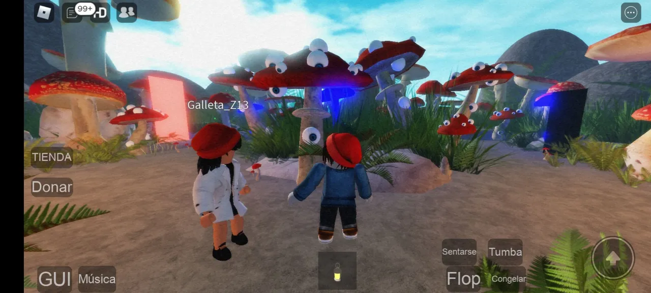 Screenshot_20220806-103033_Roblox.jpg