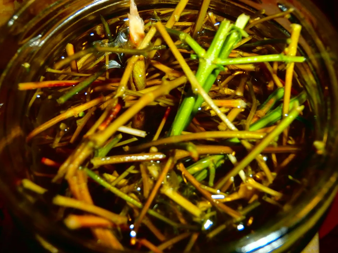 PA310013.JPG