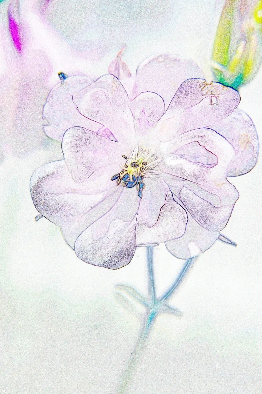 08Jun04_071_1600_colored_pencil_water_pencil_1600.JPG