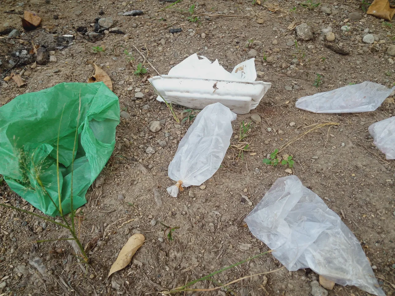 IMG20230429181422.jpg