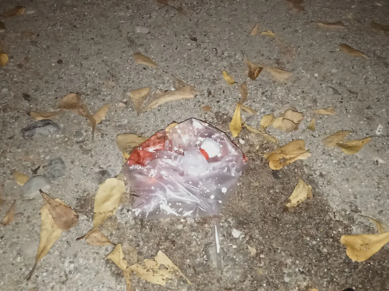 IMG20230420221248.jpg