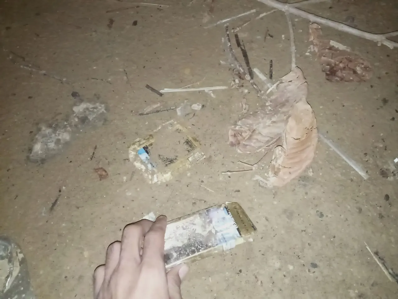 IMG20230425053602.jpg