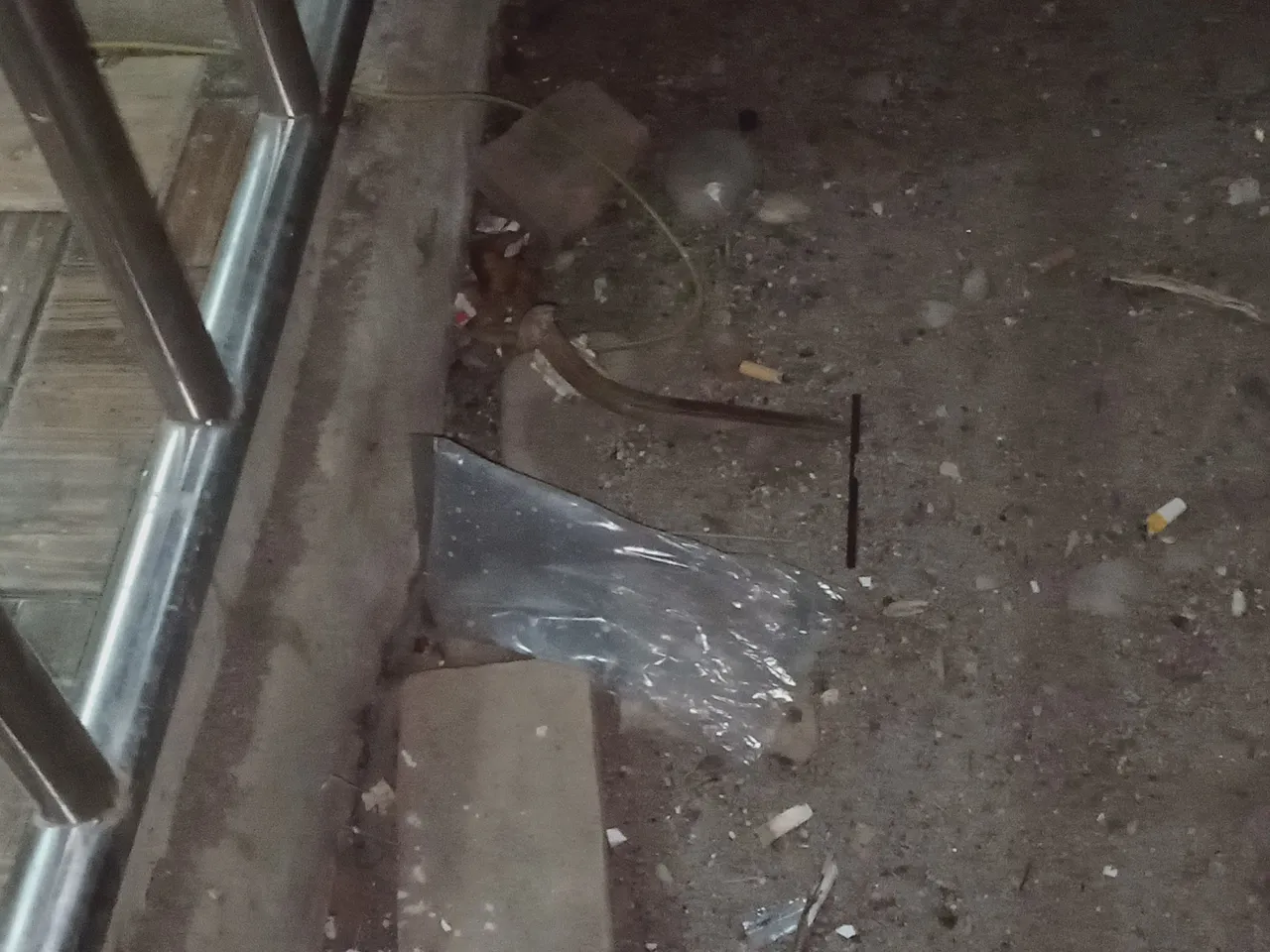 IMG20230419222117.jpg