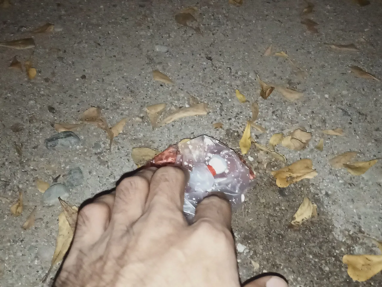 IMG20230420221251.jpg