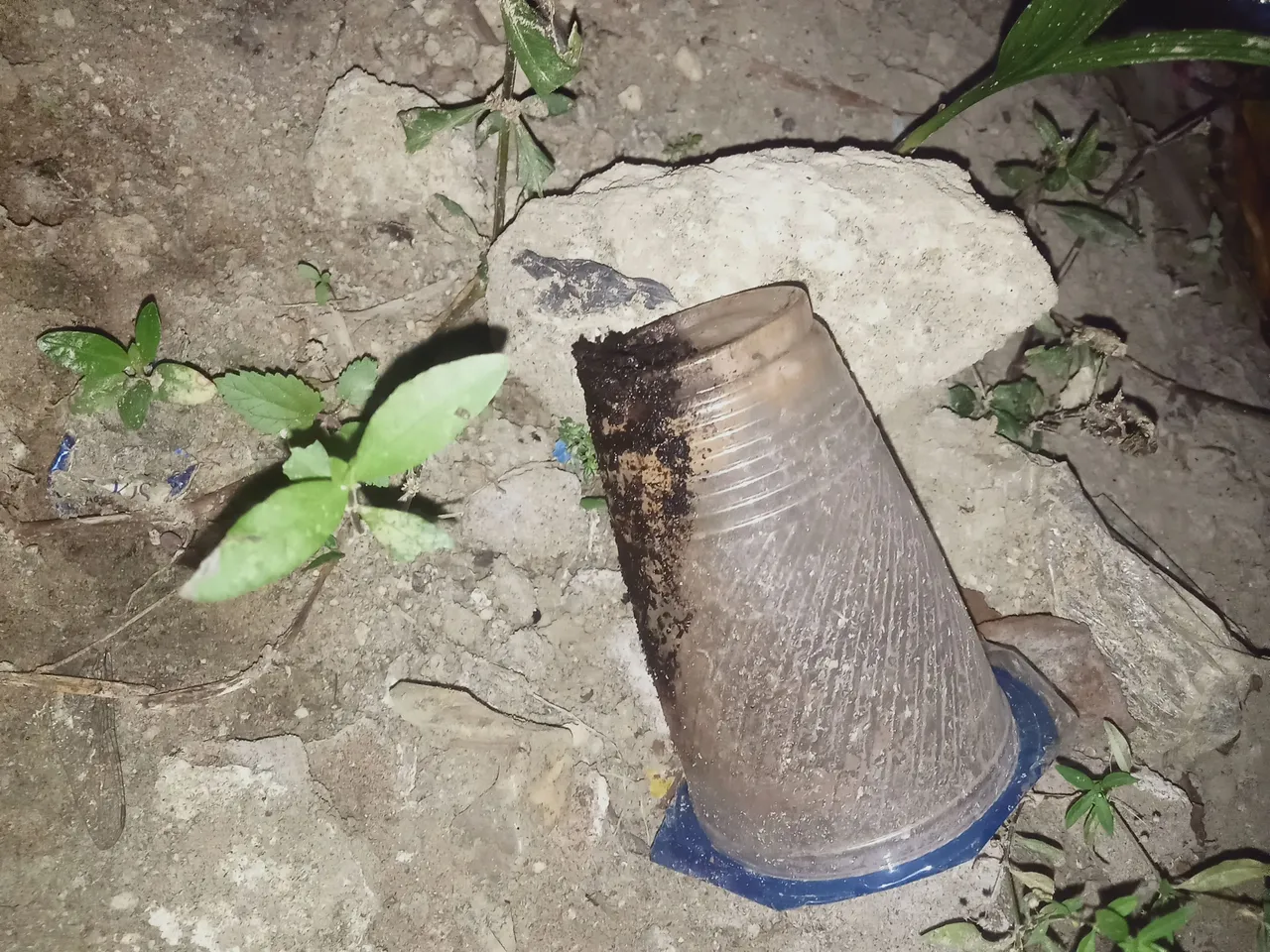 IMG20230423061655.jpg