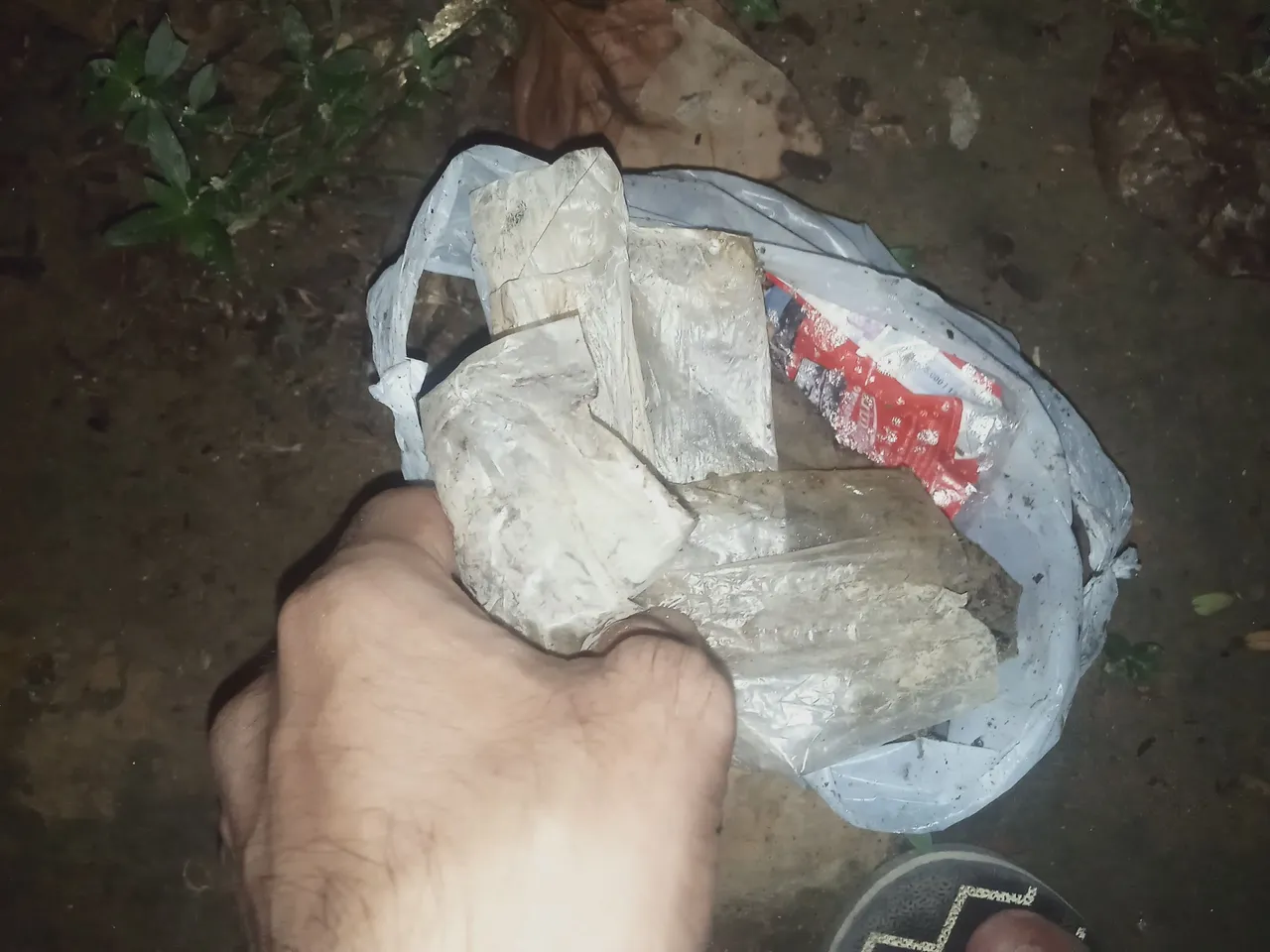 IMG20230424053411.jpg