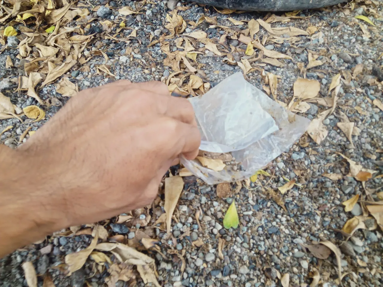 IMG20230426121353.jpg