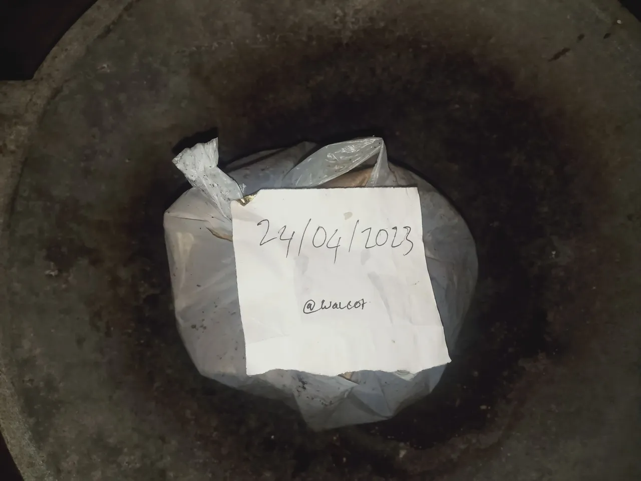IMG20230424053646.jpg