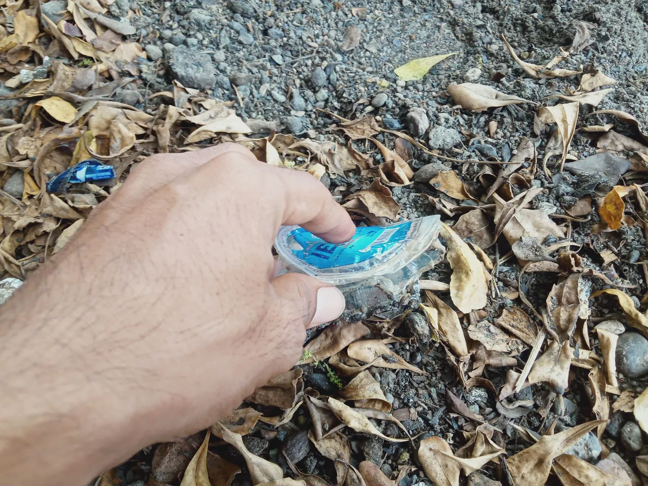 IMG20230426121311.jpg