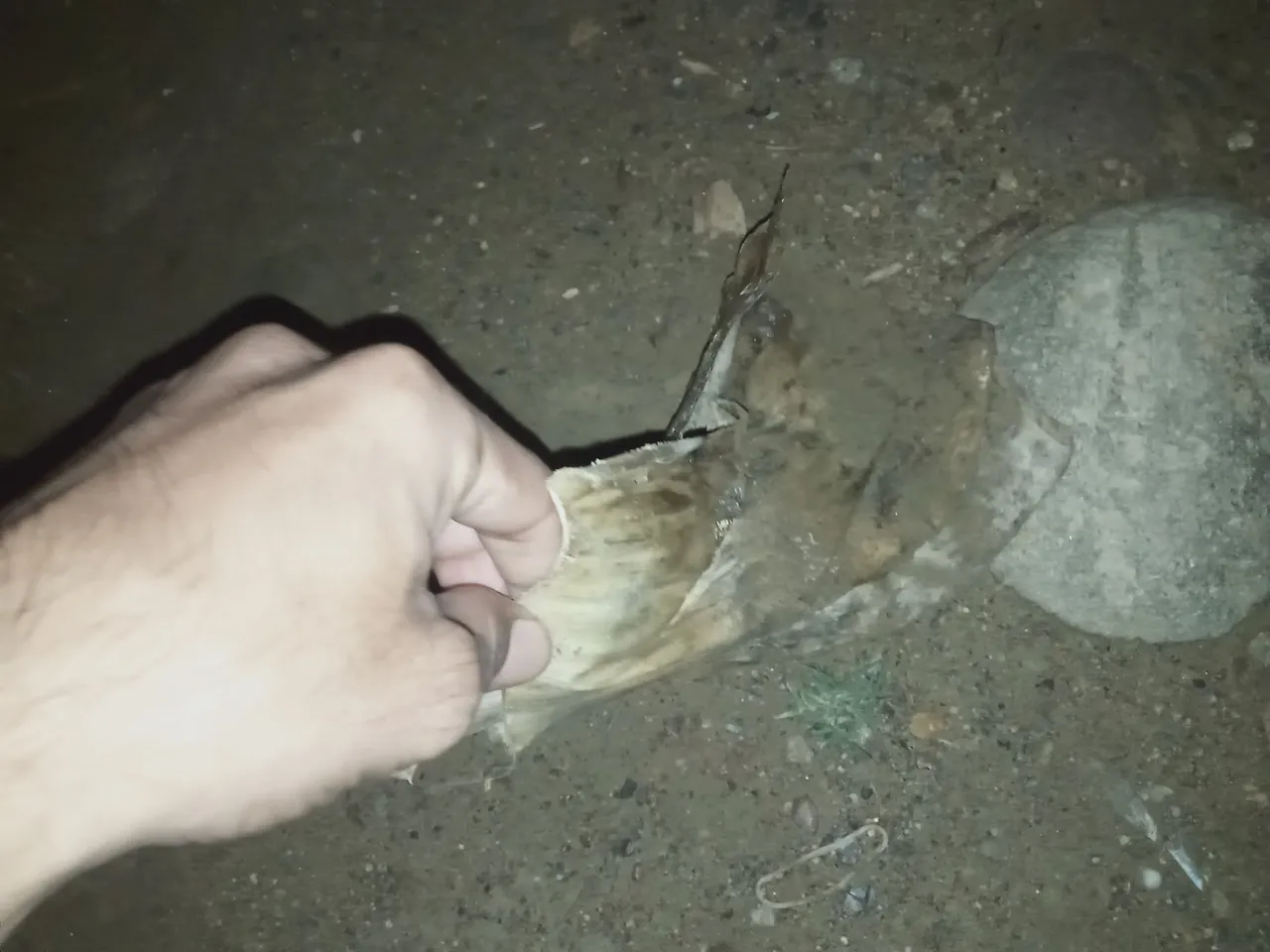 IMG20230425053650.jpg