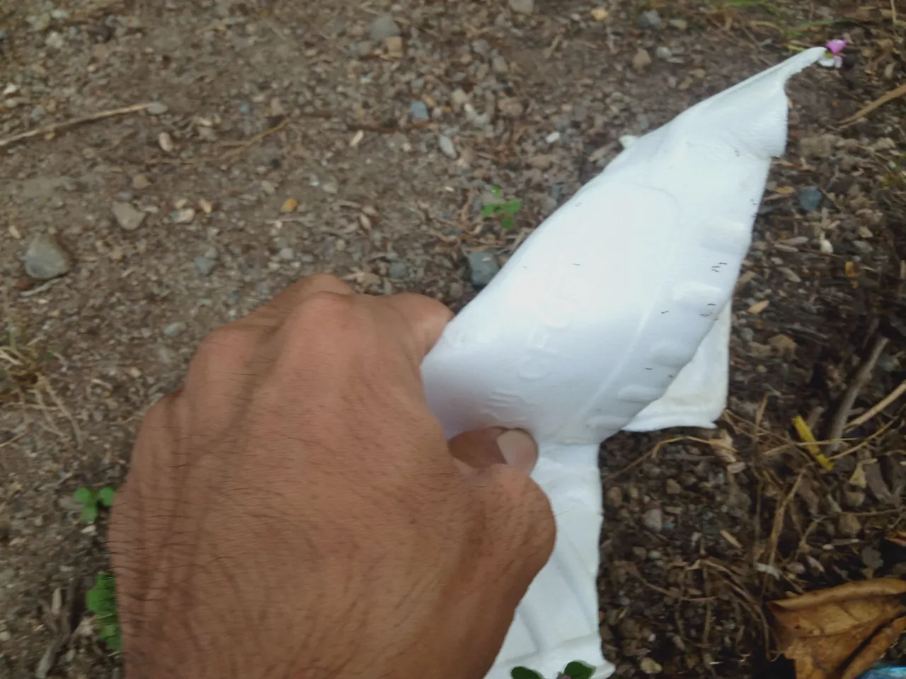 IMG20230429181617.jpg