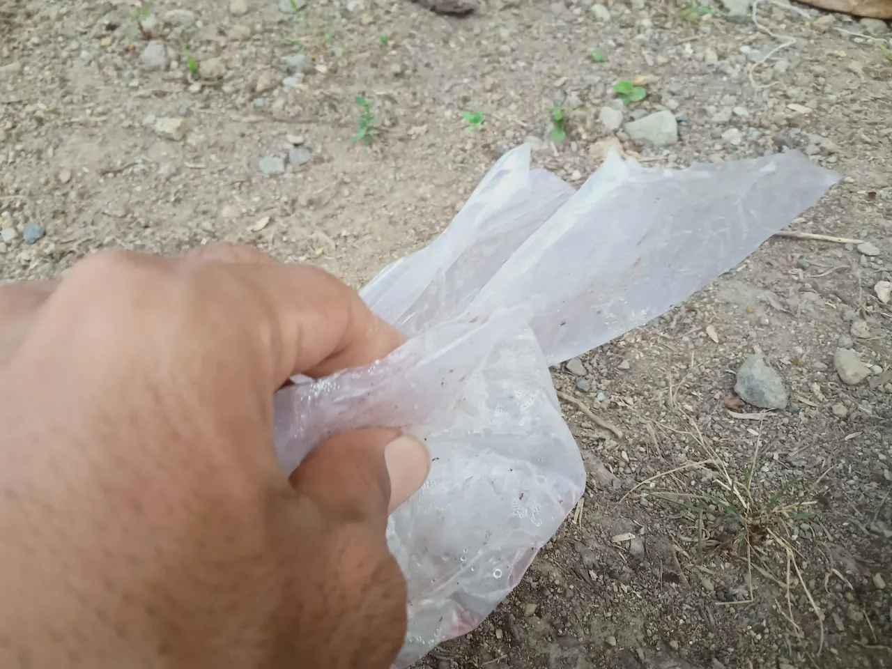 IMG20230429181519.jpg