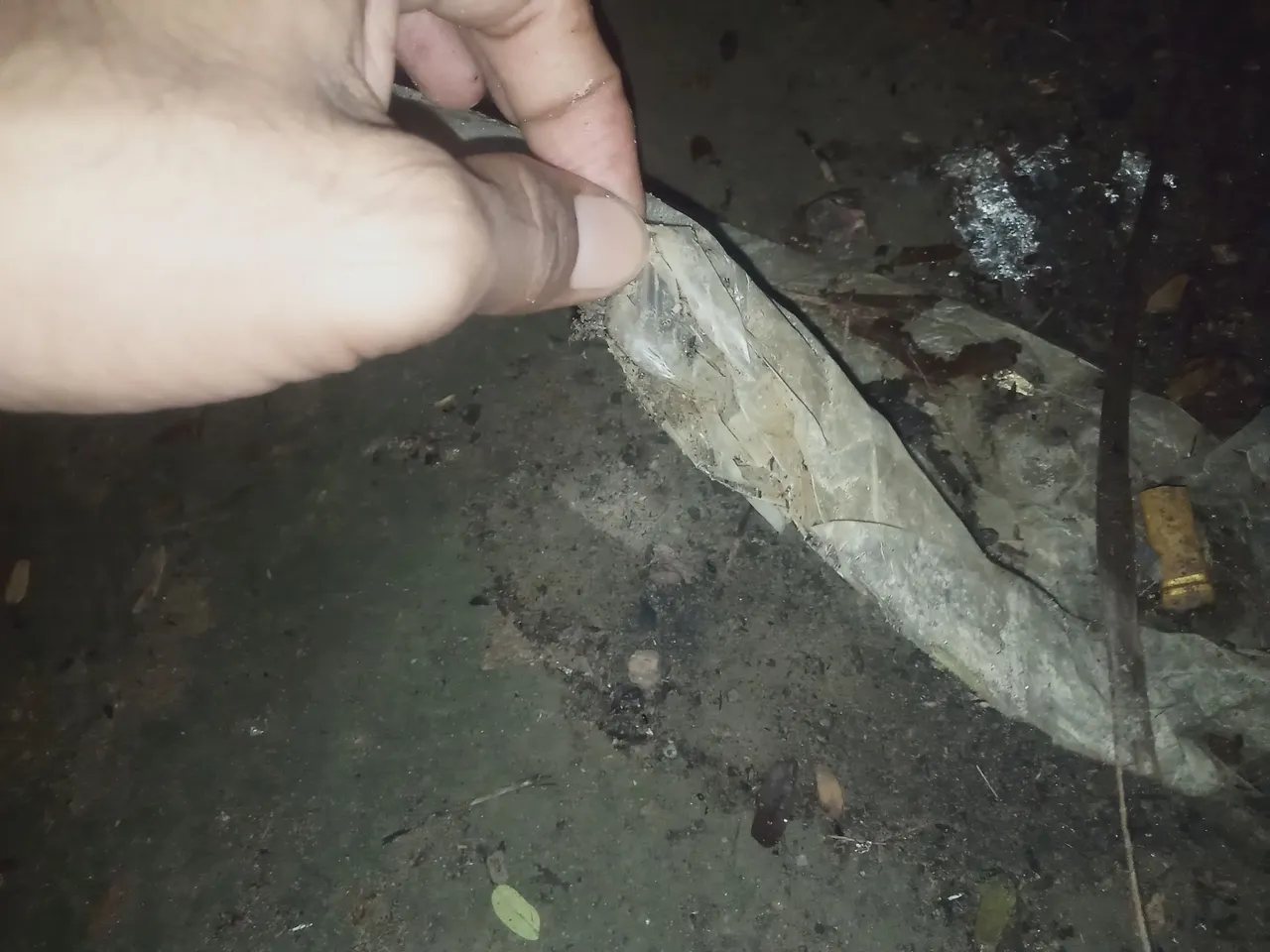 IMG20230424053242.jpg