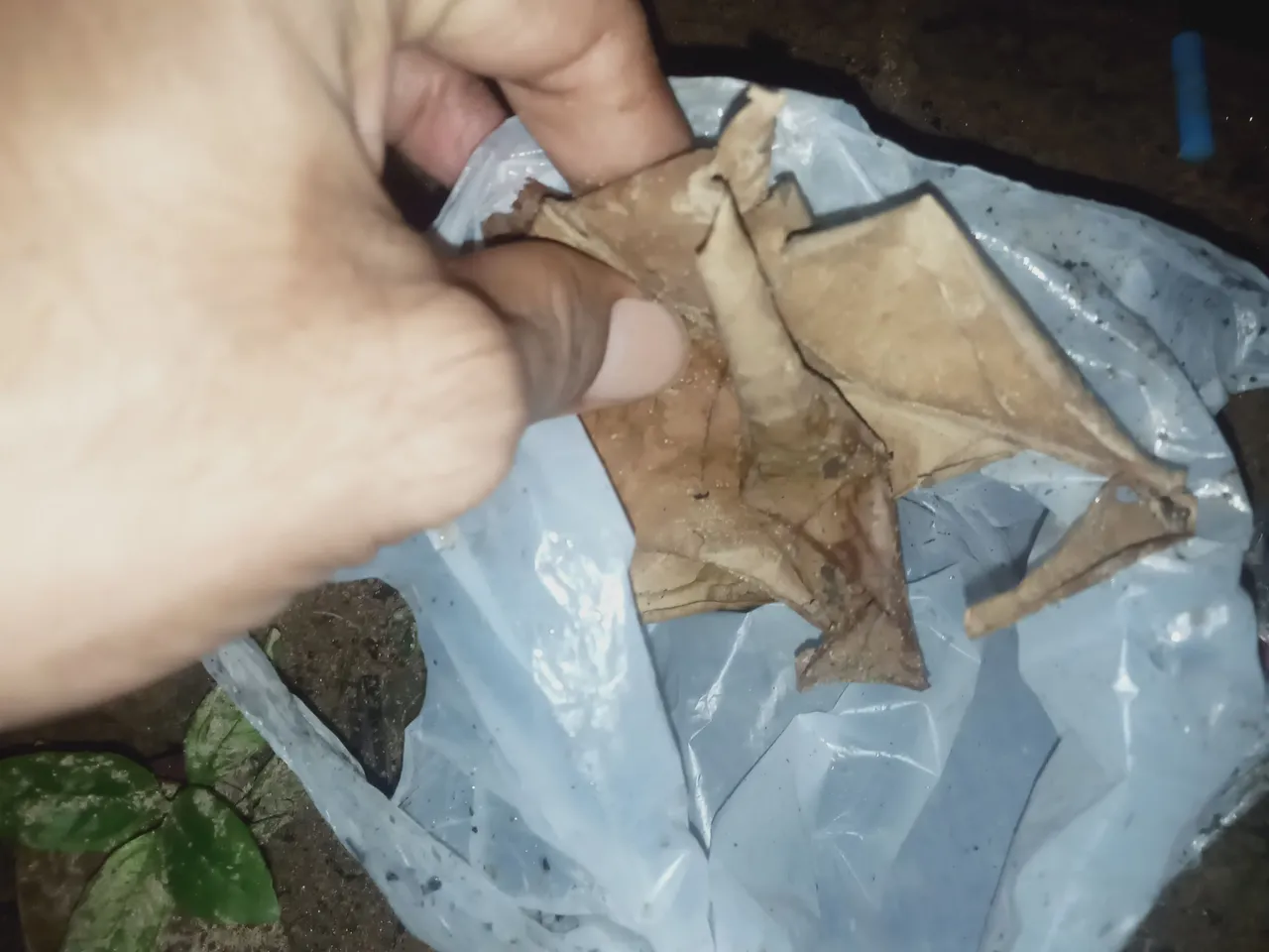 IMG20230424053206.jpg