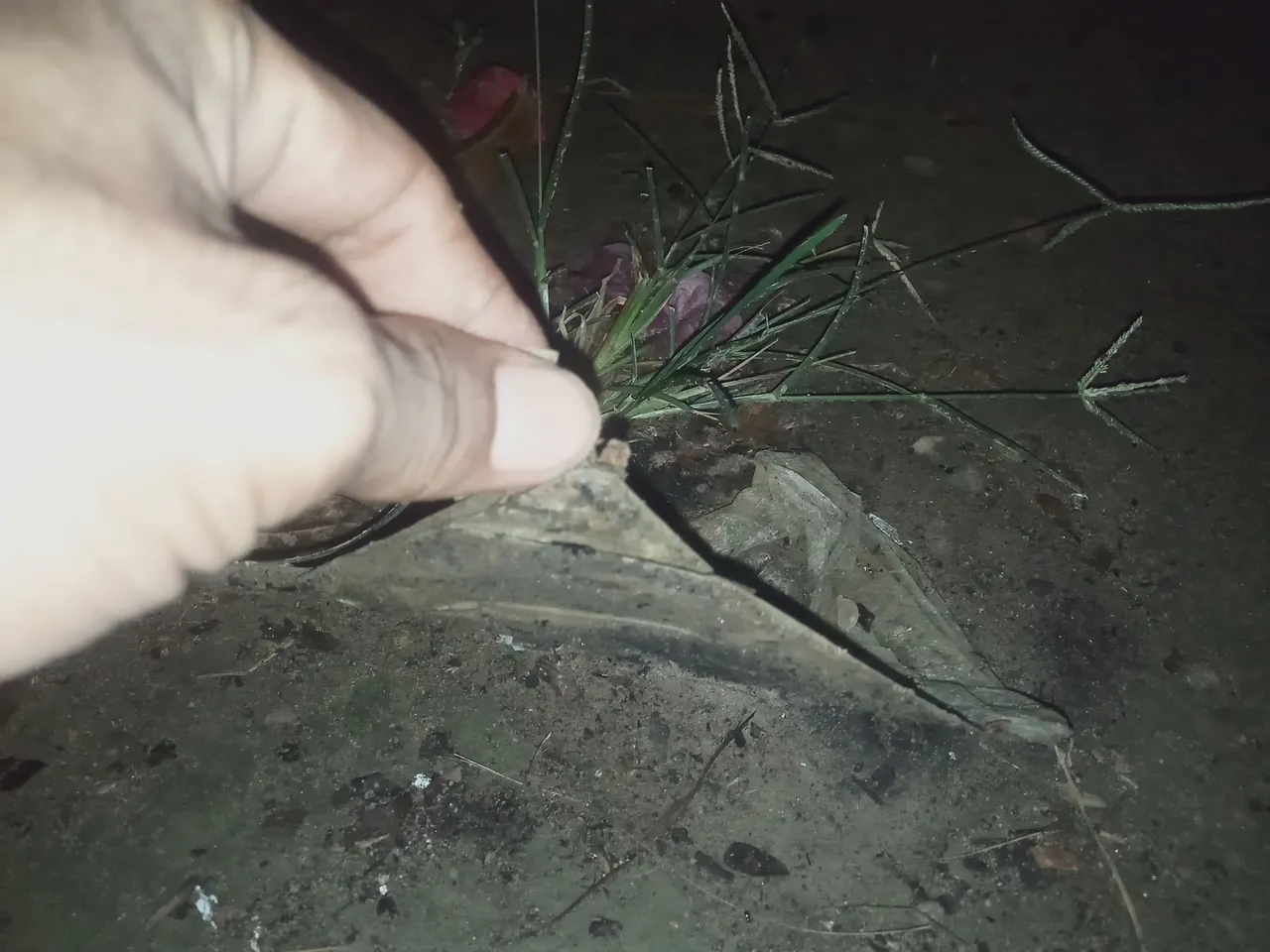 IMG20230424053316.jpg