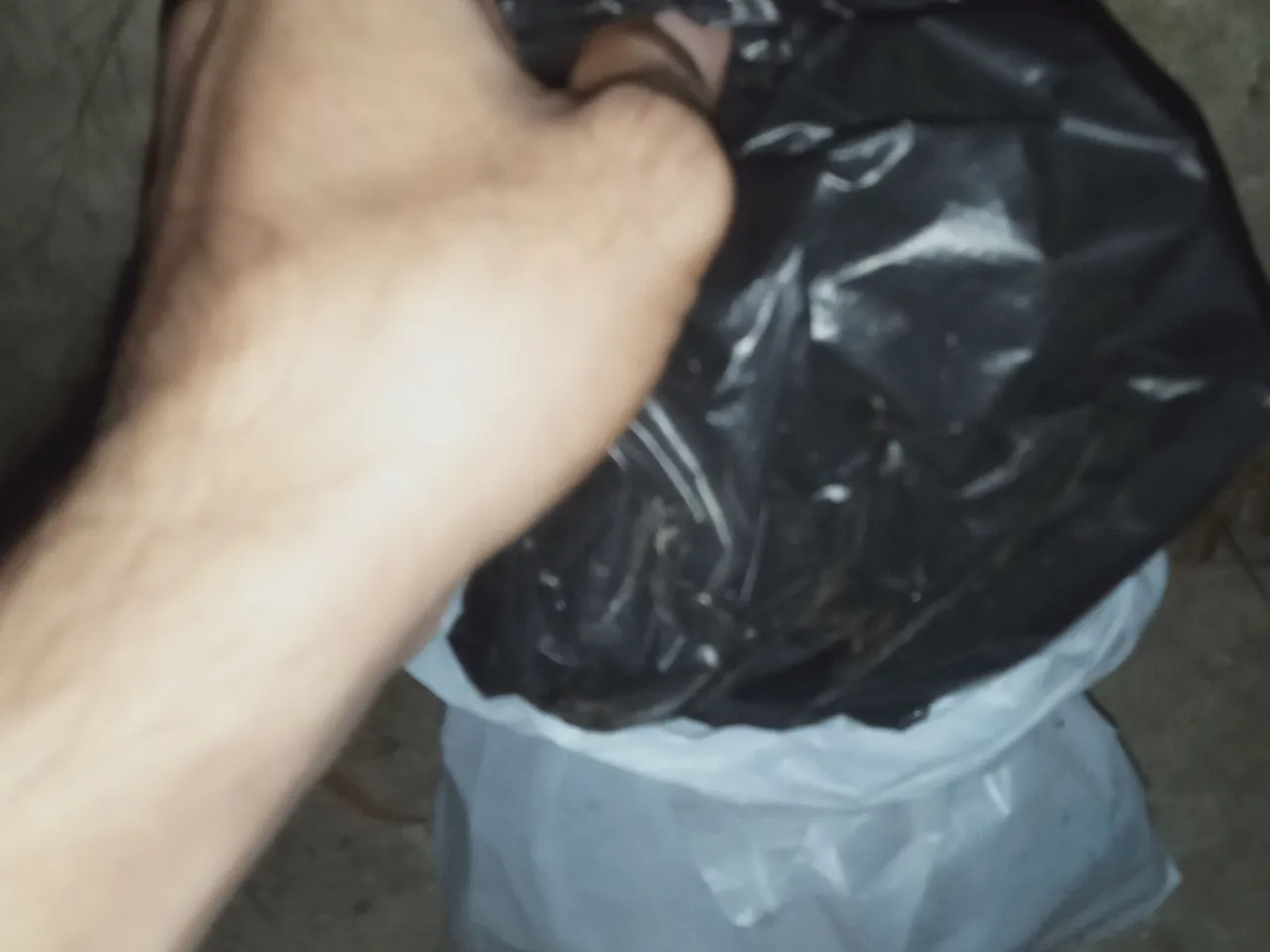IMG20230420221351.jpg