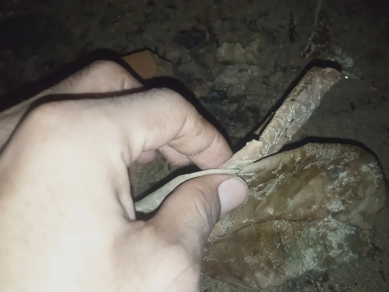 IMG20230424053156.jpg