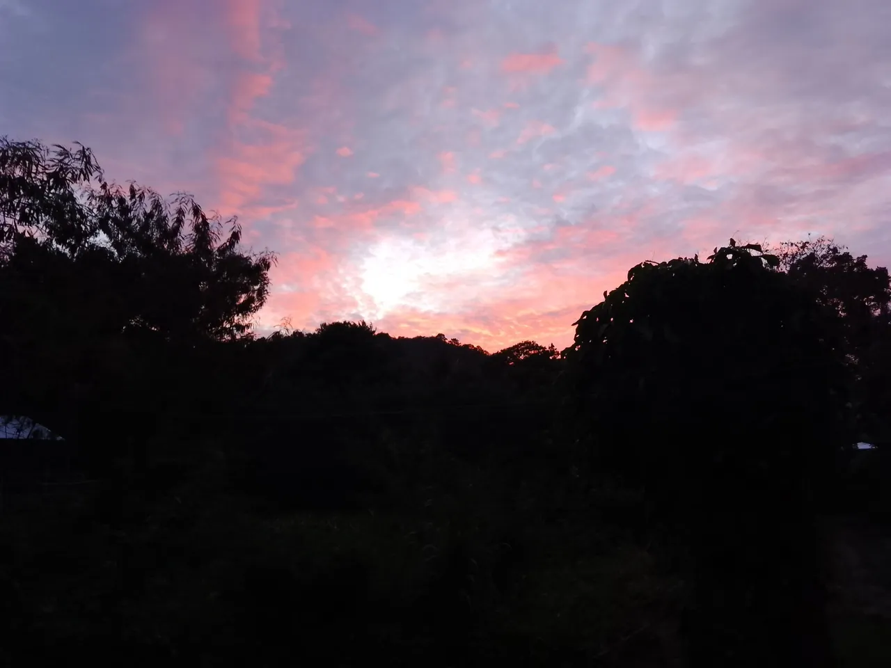 IMG_20230924_174159.jpg