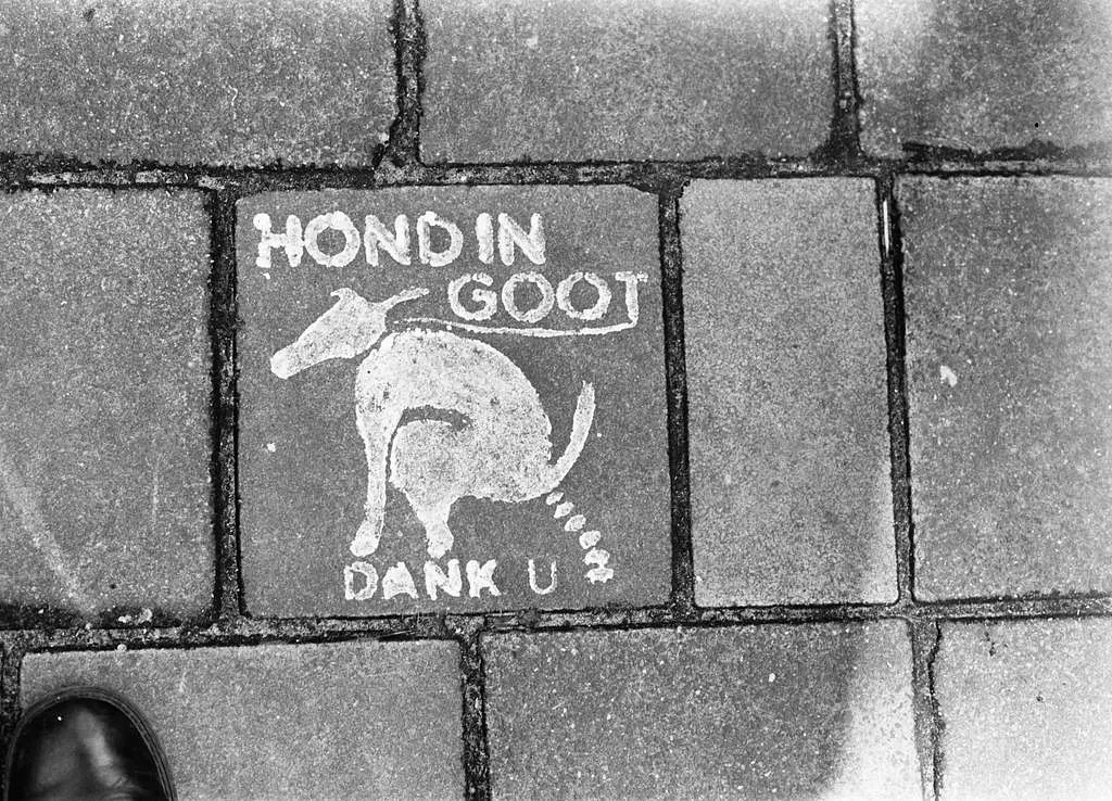 tegel-hond-in-de-goot-ba57a5.jpg