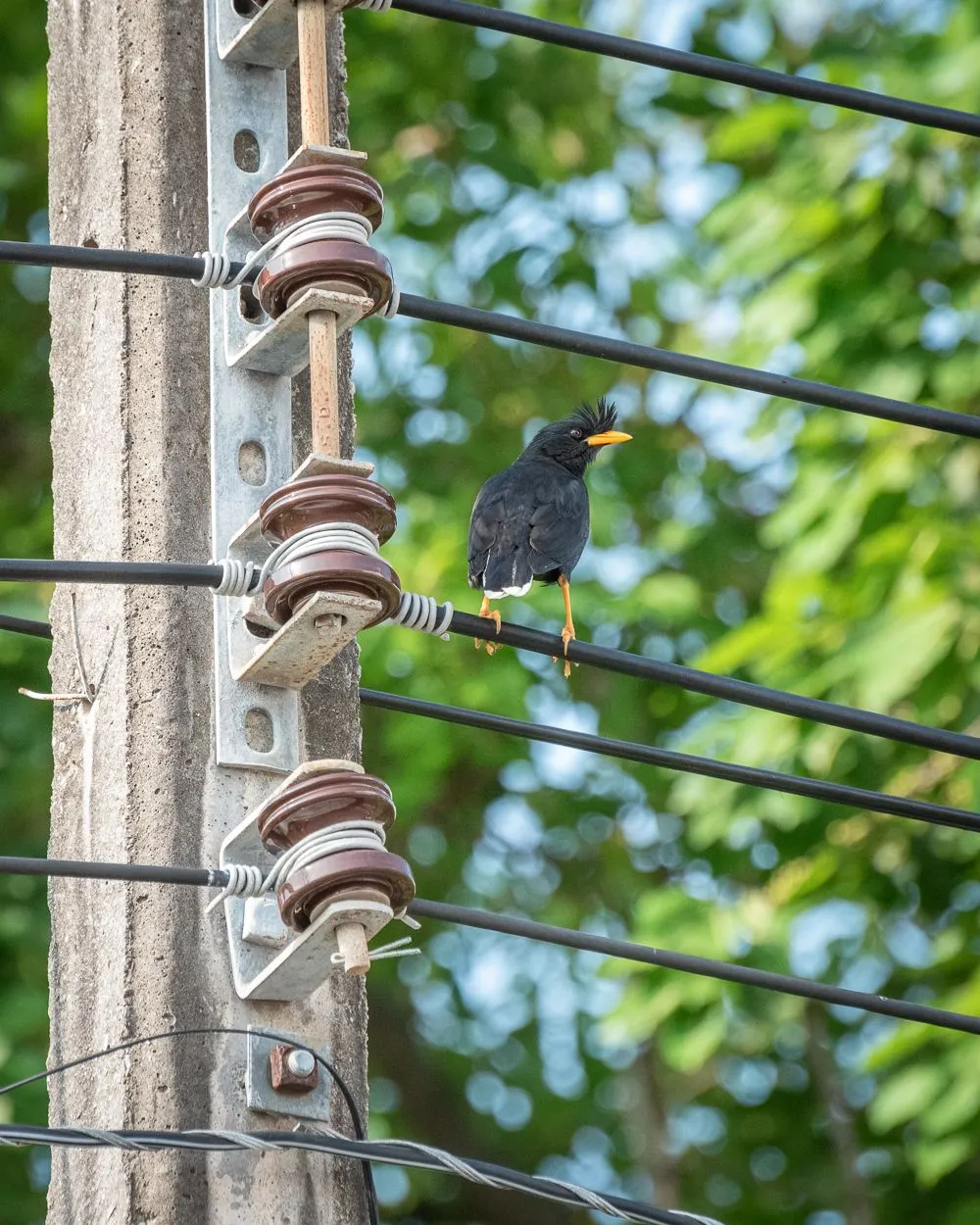 DSC_2519.JPG