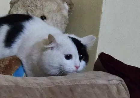 Cathyper.jpg