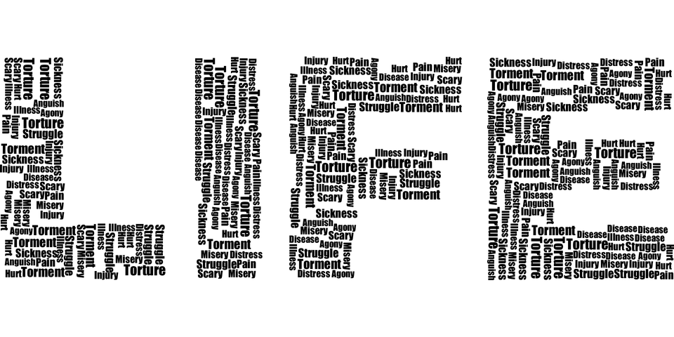life-2730381__480.webp