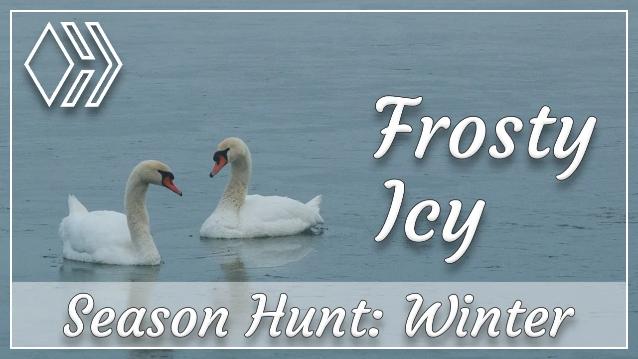 Season Hunt Challenge - Winter Hunt - FROSTY-ICY