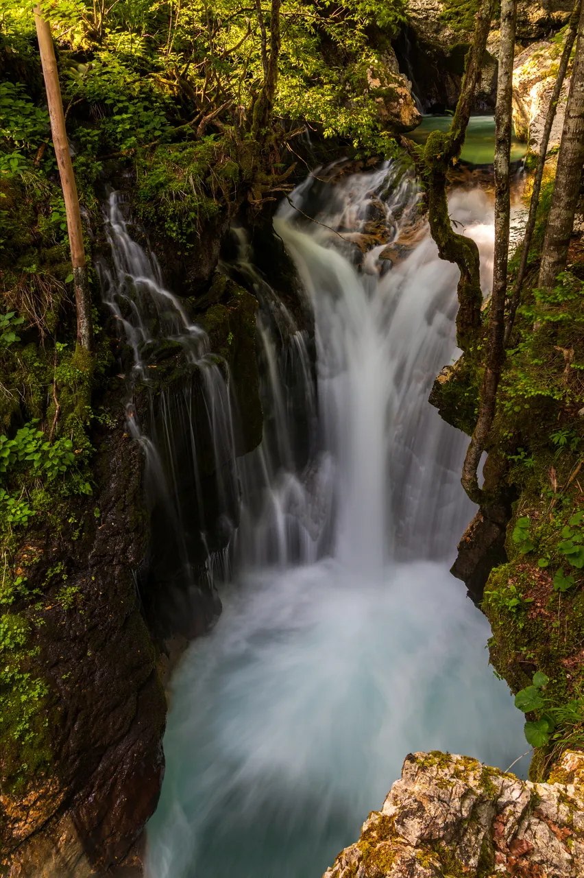 Šunikov vodni gaj, Lepena Valley - Slovenia