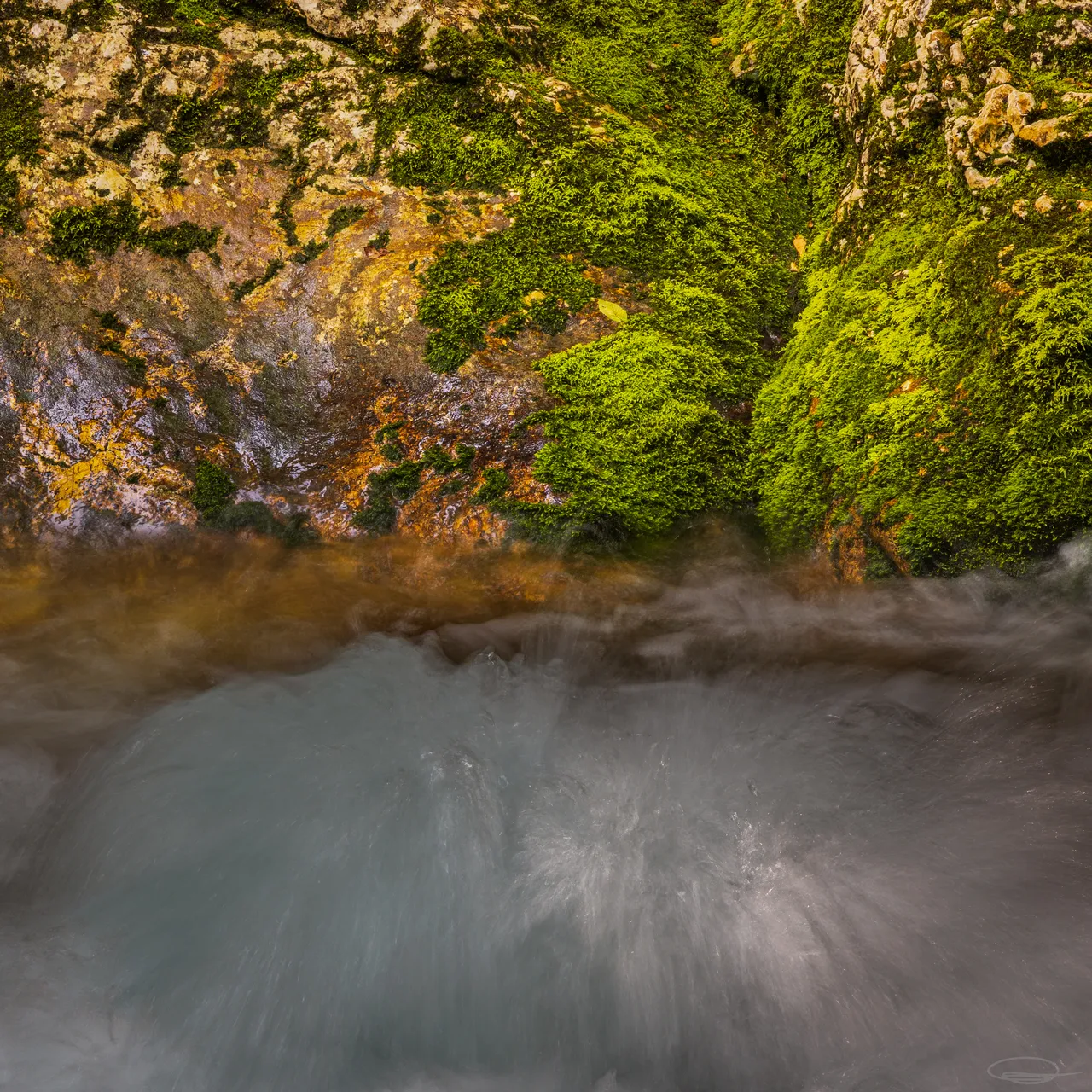 Intimate Landscape Photography - Sunikov Vodni Gaj - Sunik Water Grove, Slovenia